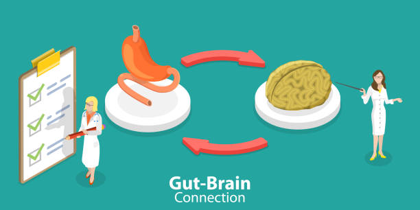 3D Isometric Flat Vector Conceptual Illustration of Gut Brain Connection 3D Isometric Flat Vector Conceptual Illustration of Gut Brain Connection, Emotion Balance for Bowel Health microbiome icon stock illustrations