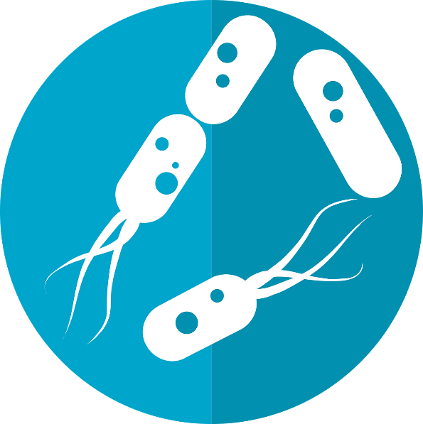 Free Bacteria Icon Microbiome Icon vector and picture